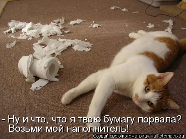 - Ну и что, что я твою бумагу порвала? Возьми мой наполнитель!... Котоматрица: - Ну и что, что я твою бумагу порвала? Возьми мой наполнитель!