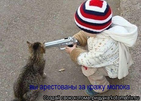 Котоматрица: вы арестованы за кражу молока