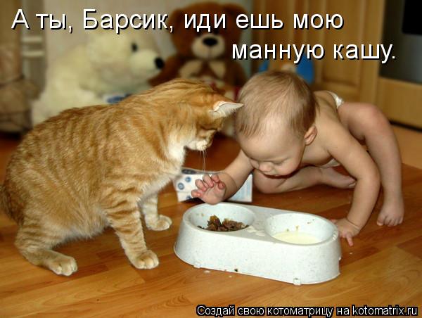 Котоматрица: А ты, Барсик, иди ешь мою  манную кашу.