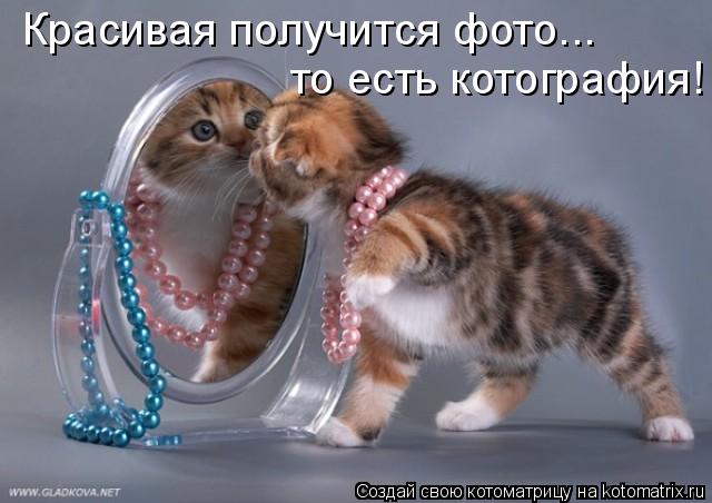 Котоматрица: Красивая получится фото...  то есть котография!