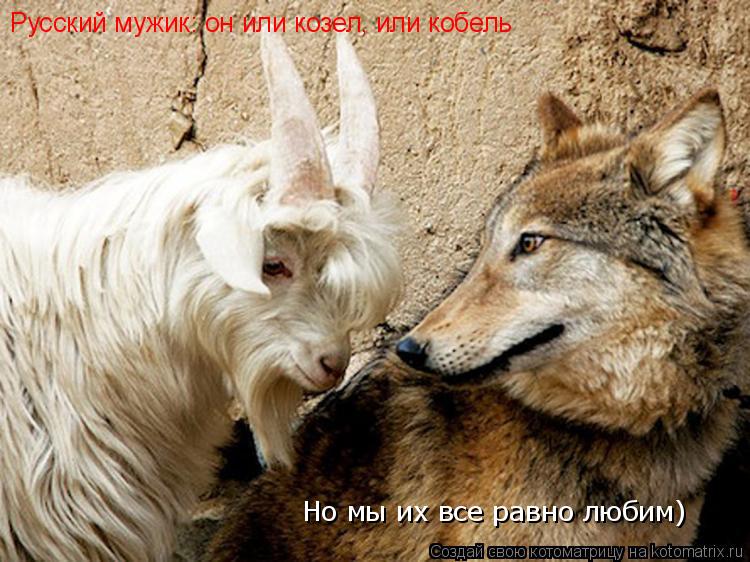 Котоматрица: Русский мужик: он или козел, или кобель Но мы их все равно любим)