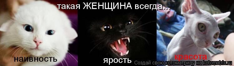 Котоматрица: такая ЖЕНЩИНА всегда... наивность ярость красота