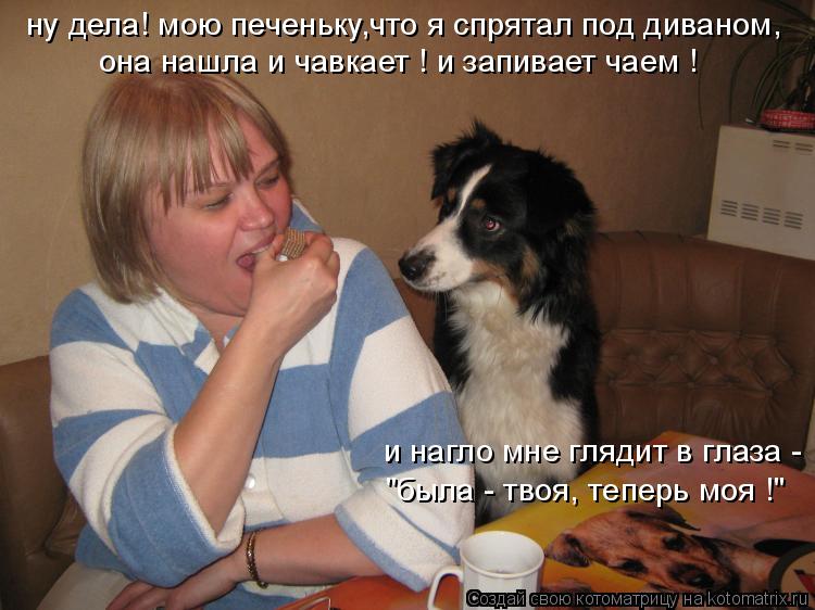 Котоматрица: ну дела! мою печеньку,что я спрятал под диваном, она нашла и чавкает ! и запивает чаем ! и нагло мне глядит в глаза - "была - твоя, теперь моя !"