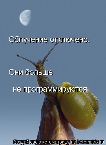 Котоматрица: Облучение отключено. Они больше  не программируются
