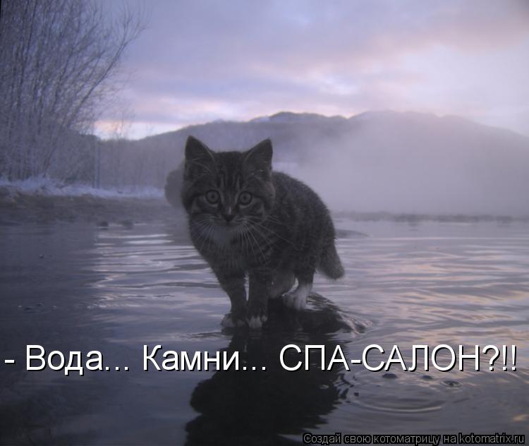 Котоматрица: - Вода... Камни... СПА-САЛОН?!!