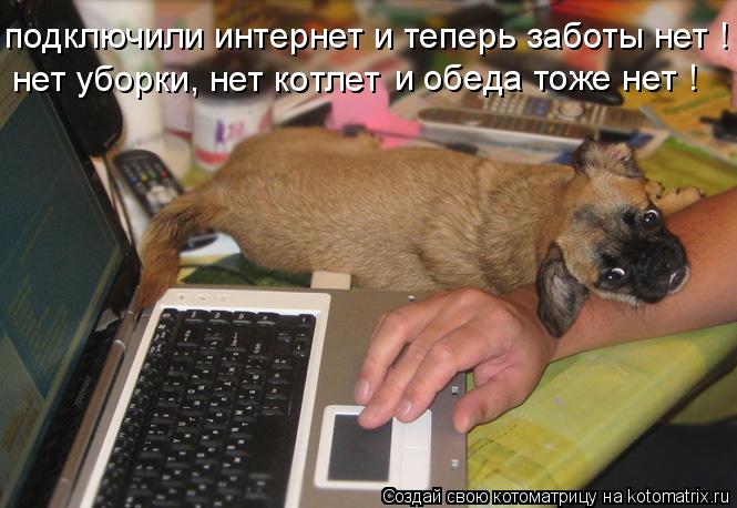 подключили интернет и теперь заботы нет ! и обеда тоже нет ! нет уборки, нет котлет... Котоматрица: подключили интернет и теперь заботы нет ! и обеда тоже нет ! нет уборки, нет котлет