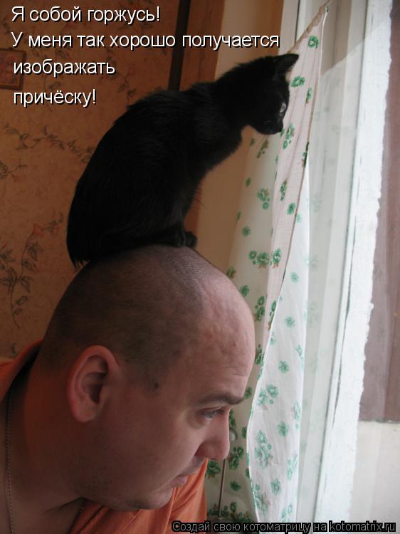Котоматрица: Я собой горжусь! У меня так хорошо получается  изображать причёску!