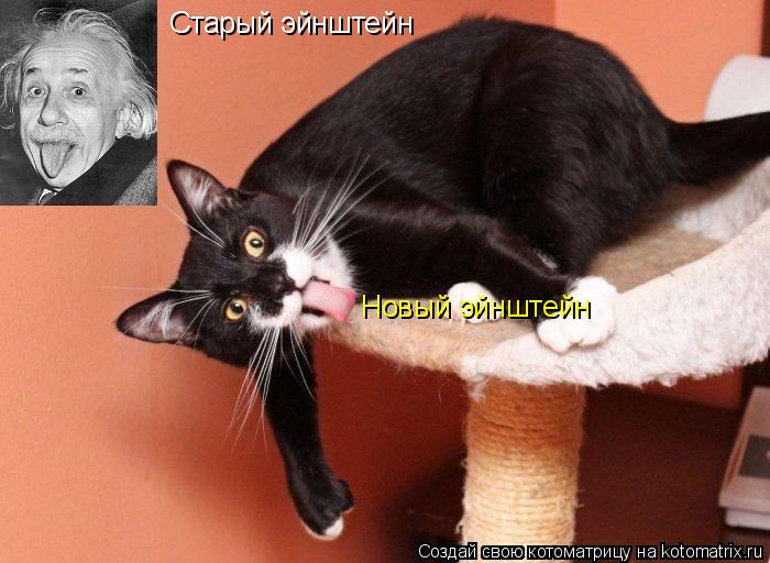 Котоматрица: Старый эйнштейн Новый эйнштейн