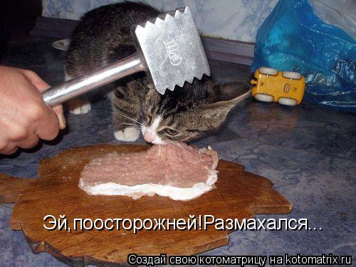 Котоматрица: Эй,поосторожней!Размахался...