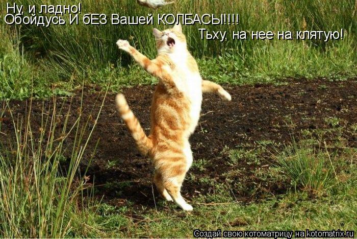 Котоматрица: Ну, и ладно! Обойдусь И бЕЗ Вашей КОЛБАСЫ!!!! Тьху, на нее на клятую!