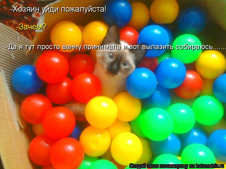 Котоматрица: -Хозяин уйди пожалуйста! -Зачем? -Да я тут просто ванну принимала и вот вылазить собираюсь.......