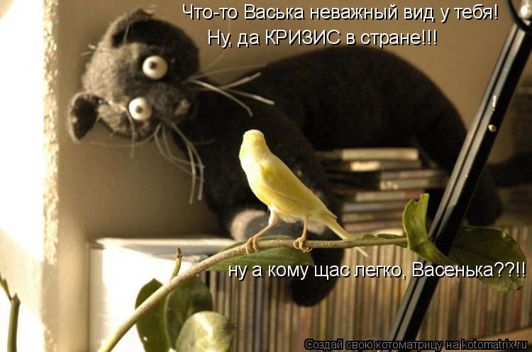 Котоматрица: Что-то Васька неважный вид у тебя! Ну, да КРИЗИС в стране!!! ну а кому щас легко, Васенька??!!