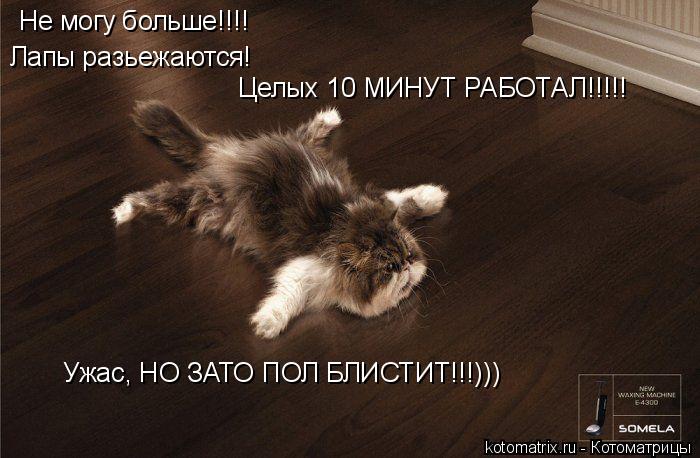 Котоматрица: Не могу больше!!!! Лапы разьежаются! Целых 10 МИНУТ РАБОТАЛ!!!!! Ужас, НО ЗАТО ПОЛ БЛИСТИТ!!!)))