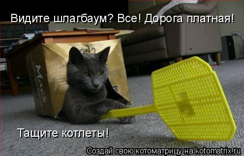 Котоматрица: Видите шлагбаум? Все! Дорога платная!  Тащите котлеты!