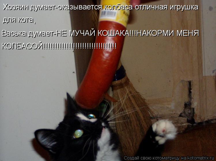 Хозяин думает-оказывается колбаса отличная игрушка для кота , Васька думает-НЕ МУЧАЙ КОШАКА!!!НАКОРМИ... Котоматрица: Хозяин думает-оказывается колбаса отличная игрушка для кота , Васька думает-НЕ МУЧАЙ КОШАКА!!!НАКОРМИ МЕНЯ КОЛБАСОЙ!!!!!!!!!!!!!!!!!!!!!!!!!!!!!!!!