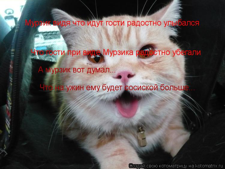 Котоматрица: Мурзик видя что идут гости радостно улыбался Что гости при виде Мурзика радостно убегали А мурзик вот думал... Что на ужин ему будет сосиско