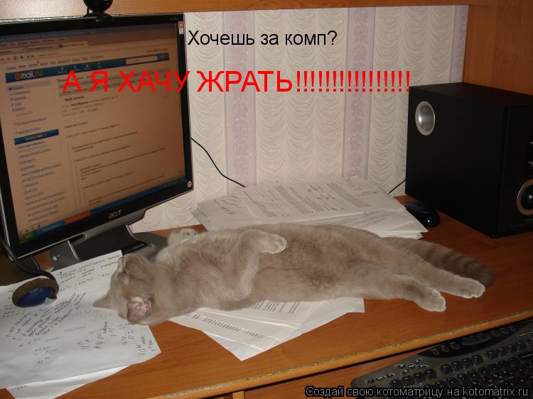 Котоматрица: Хочешь за комп? А Я ХАЧУ ЖРАТЬ!!!!!!!!!!!!!!!!