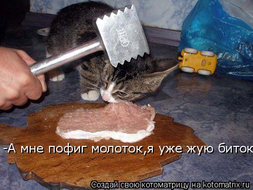 -А мне пофиг молоток,я уже жую биток!... Котоматрица: -А мне пофиг молоток,я уже жую биток!