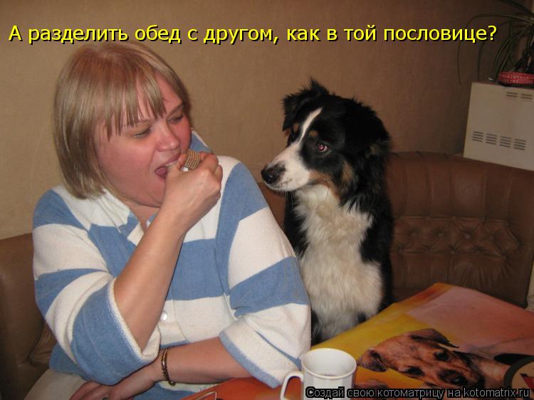 Котоматрица: А разделить обед с другом, как в той пословице?