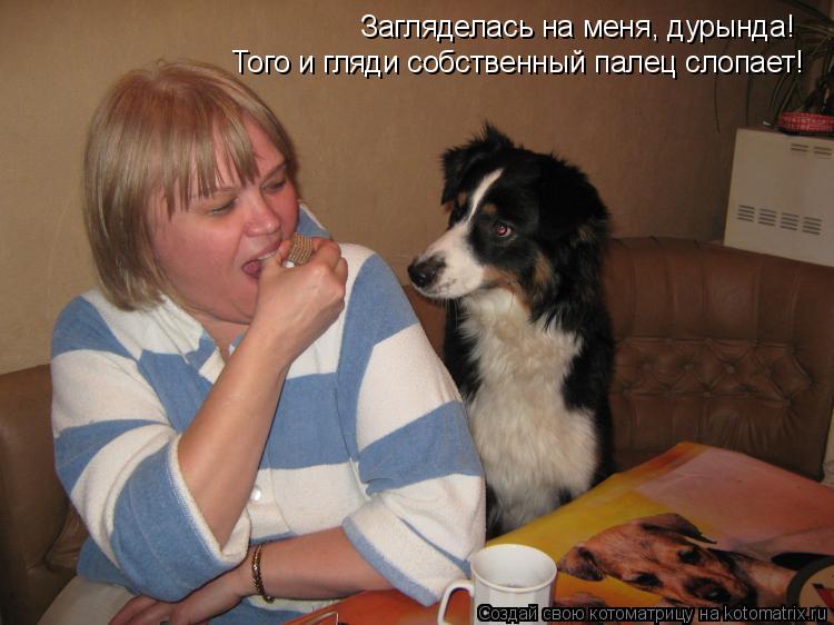 Котоматрица: Загляделась на меня, дурында! Того и гляди собственный палец слопает!