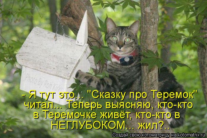 Котоматрица: - Я тут это... "Сказку про Теремок" читал... Теперь выясняю, кто-кто в Теремочке живёт, кто-кто в  НЕГЛУБОКОМ... жил?..