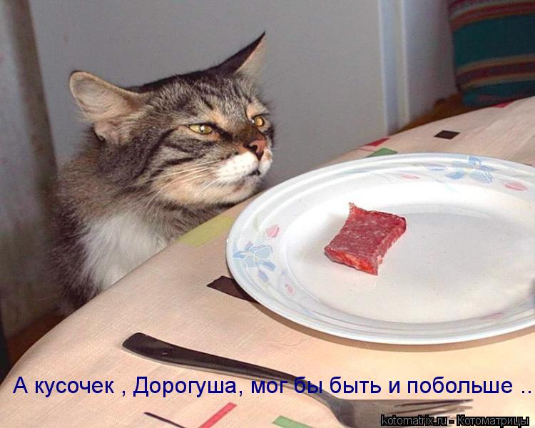 Котоматрица: А кусочек , Дорогуша, мог бы быть и побольше ...