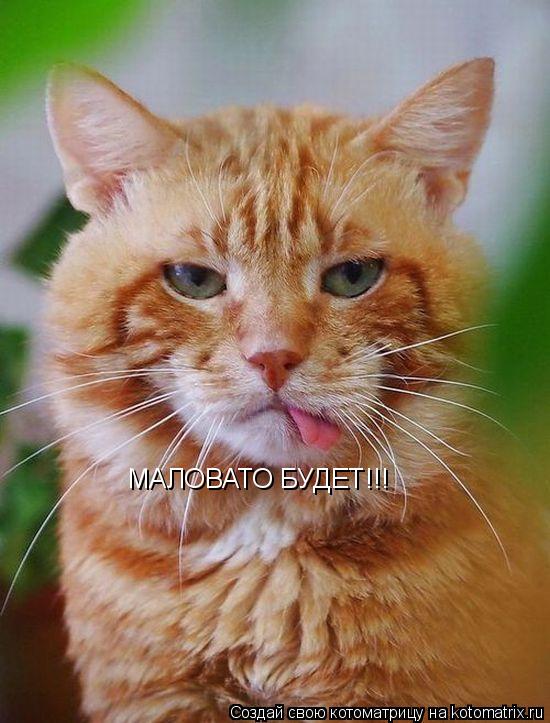 МАЛОВАТО БУДЕТ!!!... Котоматрица: МАЛОВАТО БУДЕТ!!!