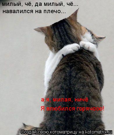 милый, чё, да милый, чё... навалился на плечо... а я, милая, ничё Я влюбился горячооо!... Котоматрица: милый, чё, да милый, чё... навалился на плечо... а я, милая, ничё Я влюбился горячооо!