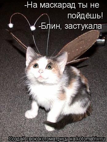 -На маскарад ты не пойдёшь! -Блин, застукала... Котоматрица: -На маскарад ты не пойдёшь! -Блин, застукала