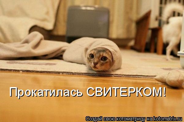 Прокатилась СВИТЕРКОМ!... Котоматрица: Прокатилась СВИТЕРКОМ!
