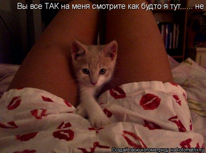 Вы все ТАК на меня смотрите как будто я тут...... не просто играю Вы все ТАК на меня смотрите как буд... Котоматрица: Вы все ТАК на меня смотрите как будто я тут...... не просто играю Вы все ТАК на меня смотрите как будто я тут...... не просто играю