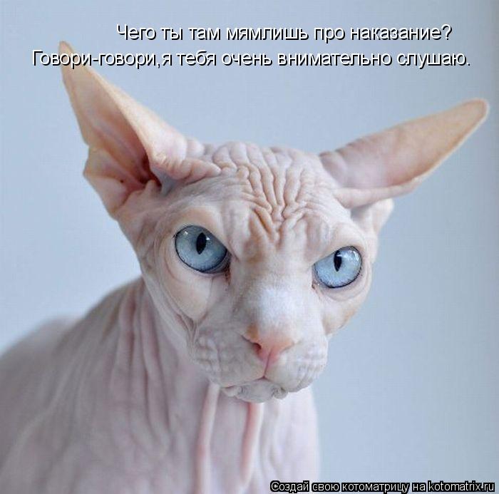 Чего ты там мямлишь про наказание? Говори-говори,я тебя очень внимательно слушаю.... Котоматрица: Чего ты там мямлишь про наказание? Говори-говори,я тебя очень внимательно слушаю.