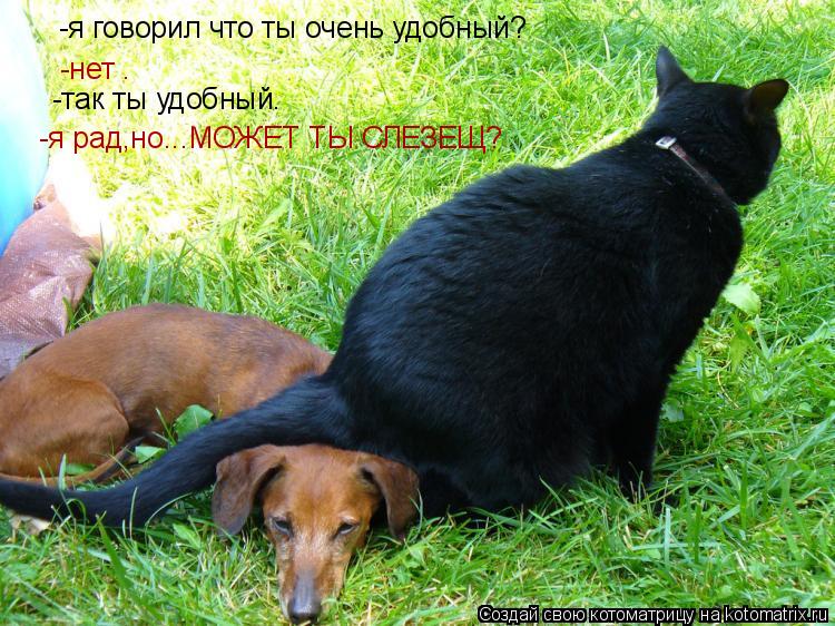 -я говорил что ты очень удобный? -нет . -так ты удобный. -я рад,но...МОЖЕТ ТЫ СЛЕЗЕЩ?... Котоматрица: -я говорил что ты очень удобный? -нет . -так ты удобный. -я рад,но...МОЖЕТ ТЫ СЛЕЗЕЩ?