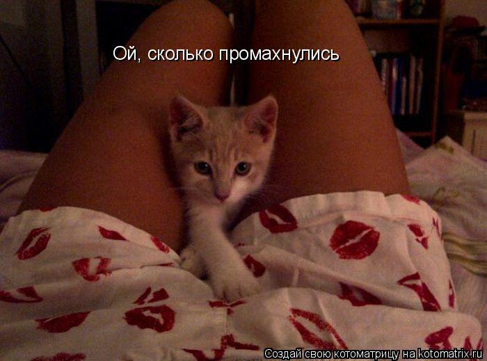 Ой, сколько промахнулись... Котоматрица: Ой, сколько промахнулись