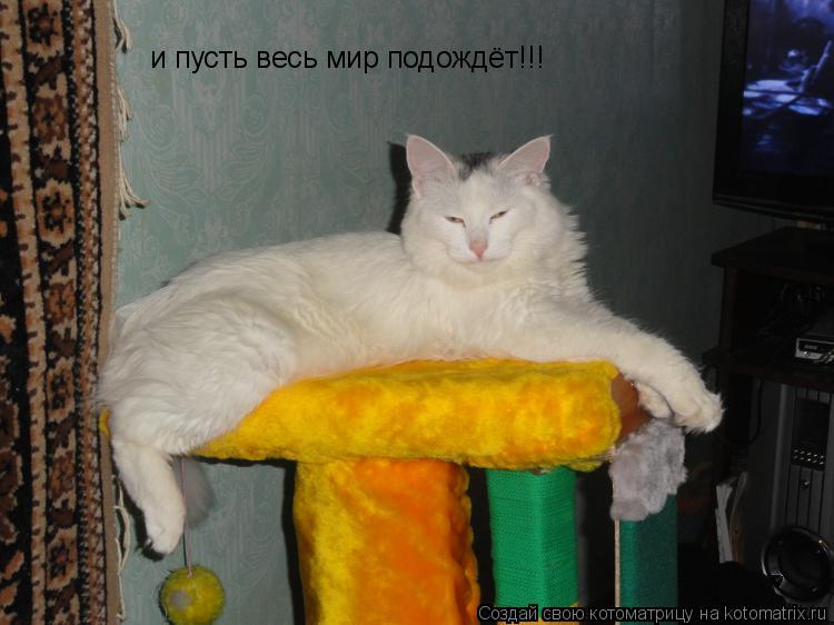 и пусть весь мир подождёт!!!... Котоматрица: и пусть весь мир подождёт!!!