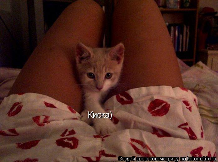 Киска)... Котоматрица: Киска)