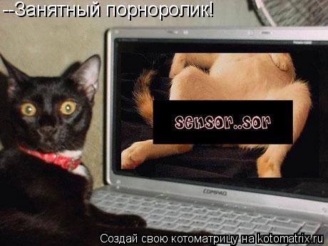 --Занятный порноролик!... Котоматрица: --Занятный порноролик!