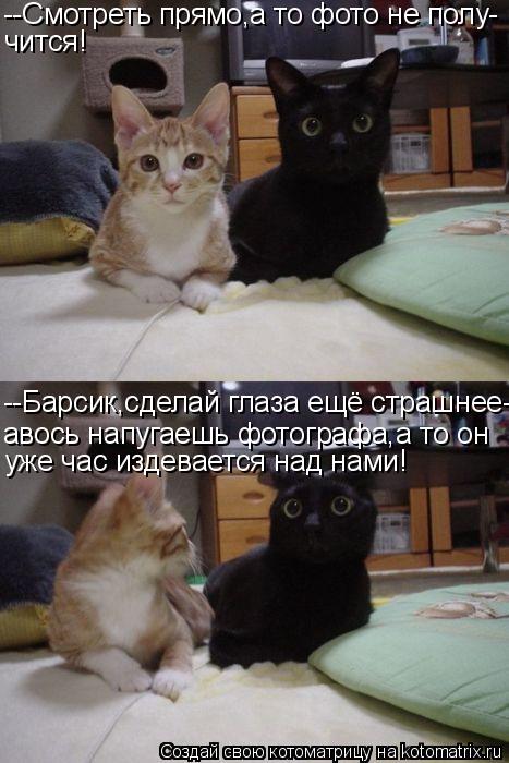 --Смотреть прямо,а то фото не полу- чится! --Барсик,сделай глаза ещё страшнее-- авось напугаешь фотог... Котоматрица: --Смотреть прямо,а то фото не полу- чится! --Барсик,сделай глаза ещё страшнее-- авось напугаешь фотографа,а то он уже час издевается над нами!