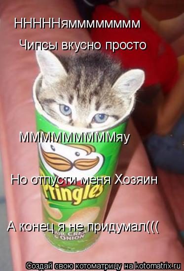 НННННямммммммм Чипсы вкусно просто МММММММММяу Но отпусти меня Хозяин А конец я не придумал(((... Котоматрица: НННННямммммммм Чипсы вкусно просто МММММММММяу Но отпусти меня Хозяин А конец я не придумал(((