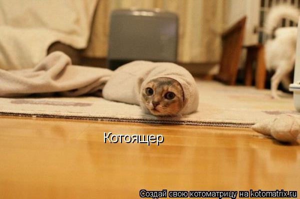 Котоящер... Котоматрица: Котоящер