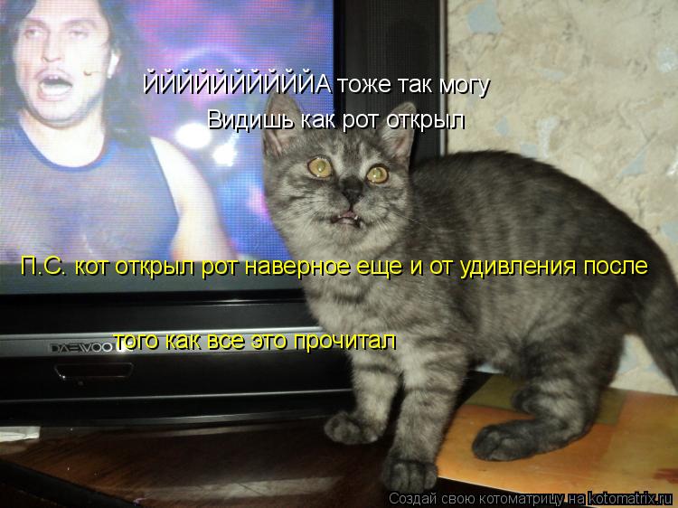 ЙЙЙЙЙЙЙЙЙЙА тоже так могу Видишь как рот открыл П.С. кот открыл рот наверное еще и от удивления после... Котоматрица: ЙЙЙЙЙЙЙЙЙЙА тоже так могу Видишь как рот открыл П.С. кот открыл рот наверное еще и от удивления после того как все это прочитал