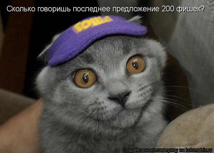Сколько говоришь последнее предложение 200 фишек?... Котоматрица: Сколько говоришь последнее предложение 200 фишек?