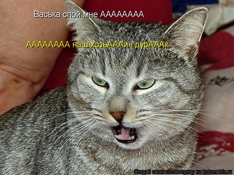 Васька спой мне АААААААА АААААААА наш хозьАААин дурАААк... Котоматрица: Васька спой мне АААААААА АААААААА наш хозьАААин дурАААк