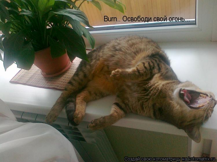 Burn.. Освободи свой огонь...... Котоматрица: Burn.. Освободи свой огонь...