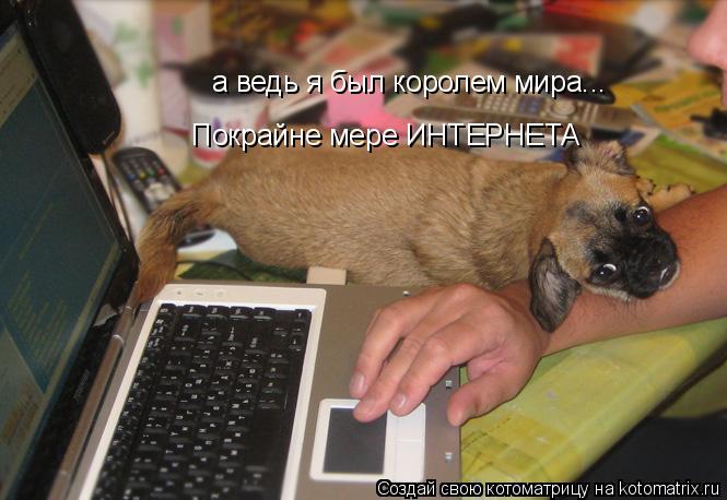 а ведь я был королем мира... Покрайне мере ИНТЕРНЕТА... Котоматрица: а ведь я был королем мира... Покрайне мере ИНТЕРНЕТА