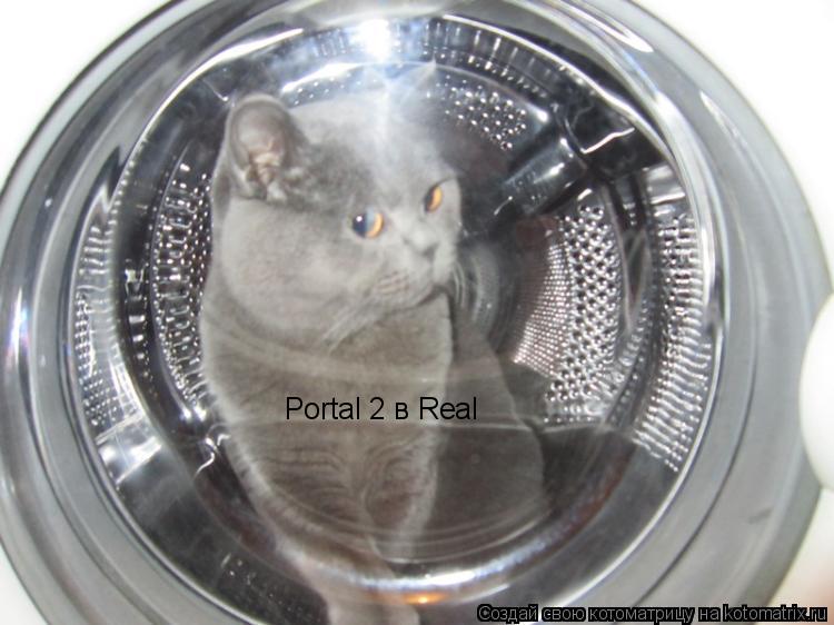 Portal 2 в Real... Котоматрица: Portal 2 в Real