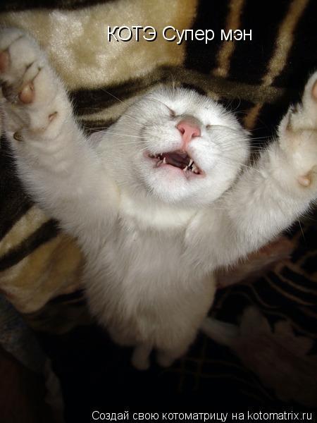 КОТЭ Супер мэн... Котоматрица: КОТЭ Супер мэн