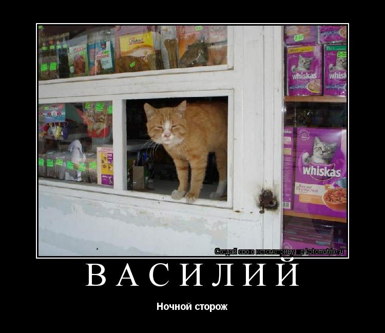 василий Ночной сторож... Котоматрица: василий Ночной сторож
