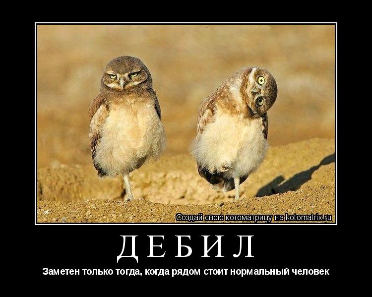 Котоматрица: Дебил Заметен только тогда, когда рядом стоит нормальный человек
