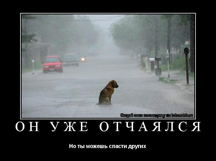 Котоматрица: Он уже отчаялся Но ты можешь спасти других